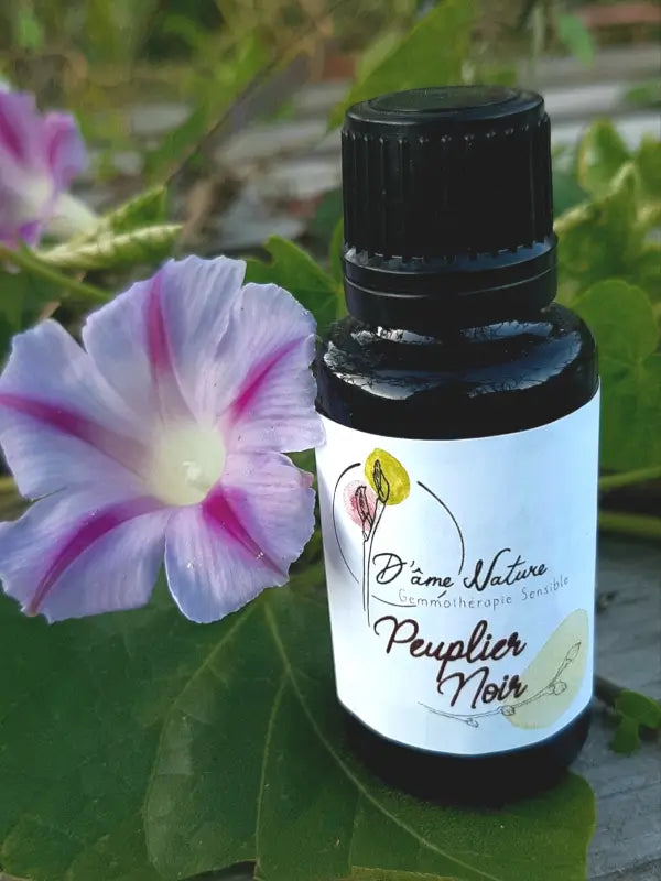 D'Âme Nature - Peuplier noir - 20ml