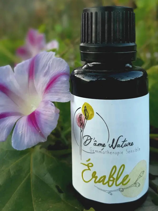 D'Âme Nature - Erable - 20ml