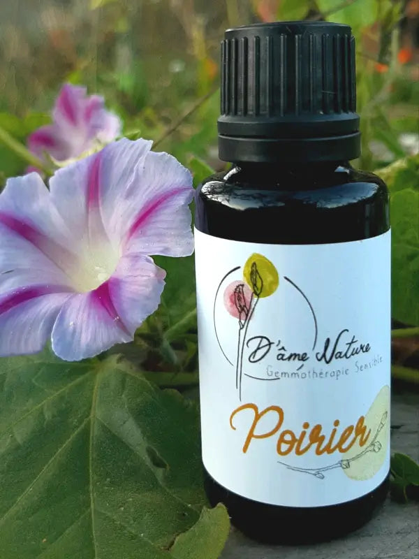 D'Âme Nature - Poirier - 20ml
