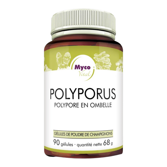 MycoVital Polyporus - 90 gélules