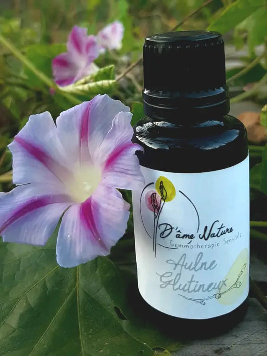 D'Âme Nature - Aulne glutineux - 20ml