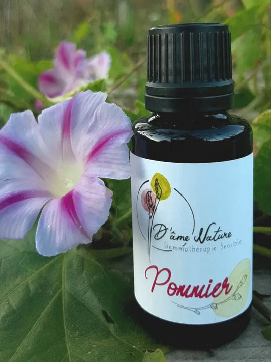 D'Âme Nature - Pommier - 20ml