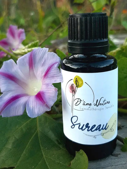 D'Âme Nature - Sureau - 20ml
