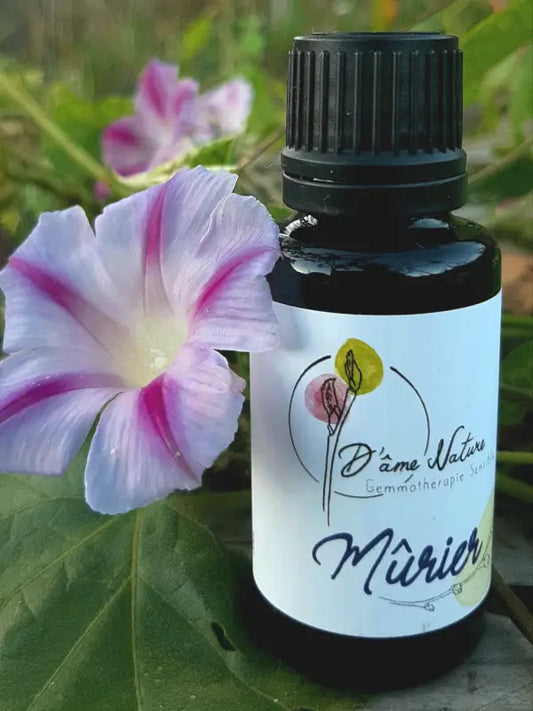 D'Âme Nature - Mûrier - 20ml