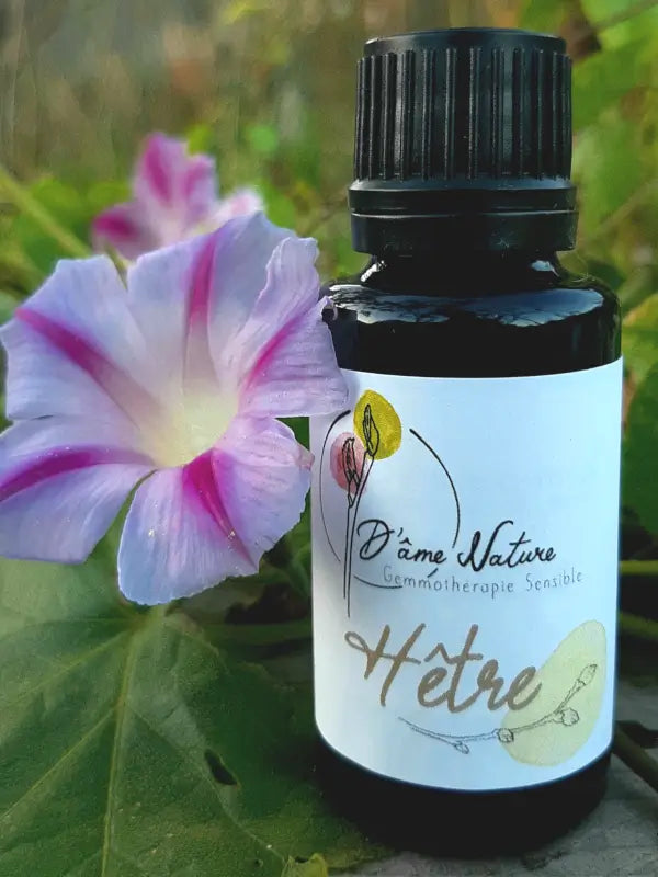 D'Âme Nature - Hêtre - 20ml