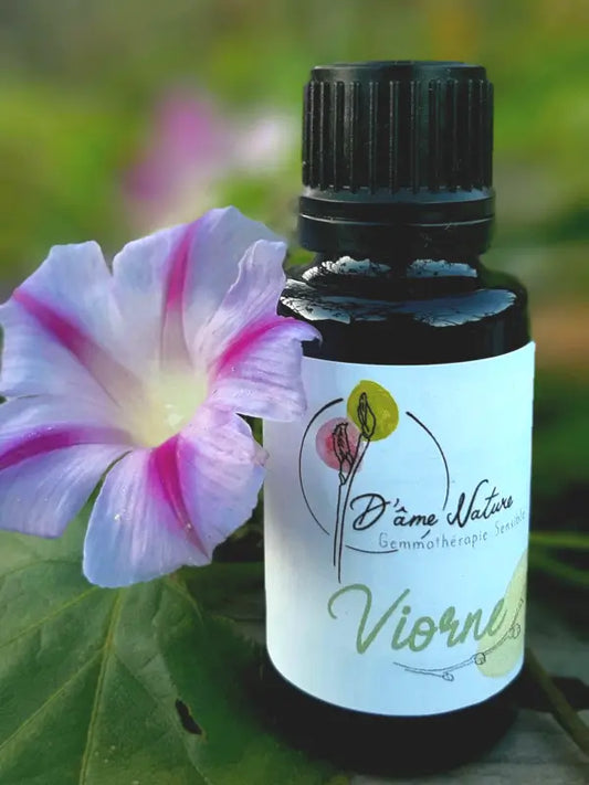 D'Âme Nature - Viorne - 20ml