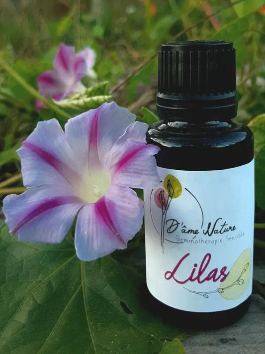 D'Âme Nature - Lilas - 20ml