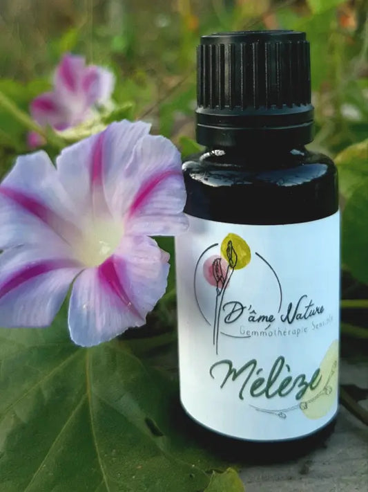 D'Âme Nature - Mélèze - 20ml