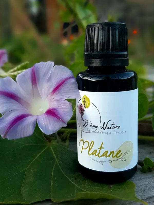 D'Âme Nature - Platane - 20ml