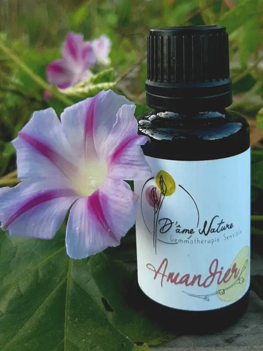 D'Âme Nature - Amandier - 20ml