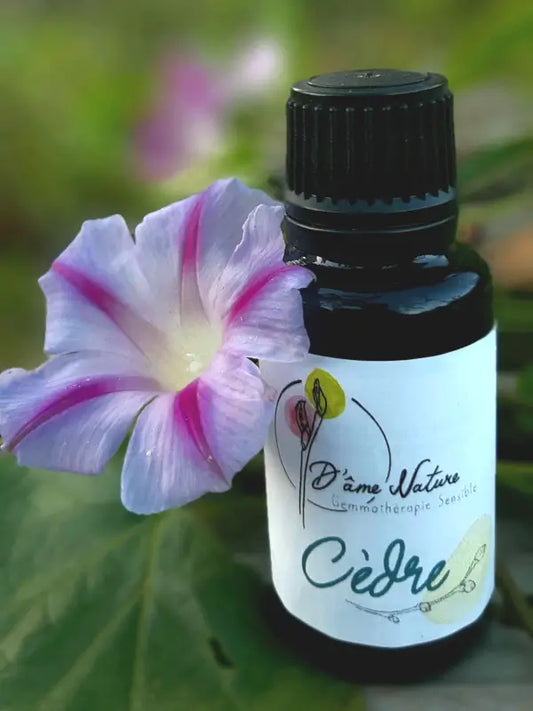 D'Âme Nature - Cèdre - 20ml