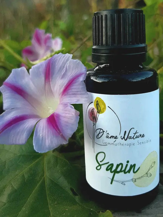 D'Âme Nature - Sapin - 20ml