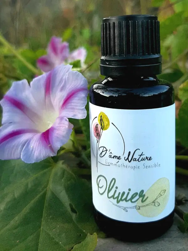 D'Âme Nature - Olivier - 20ml