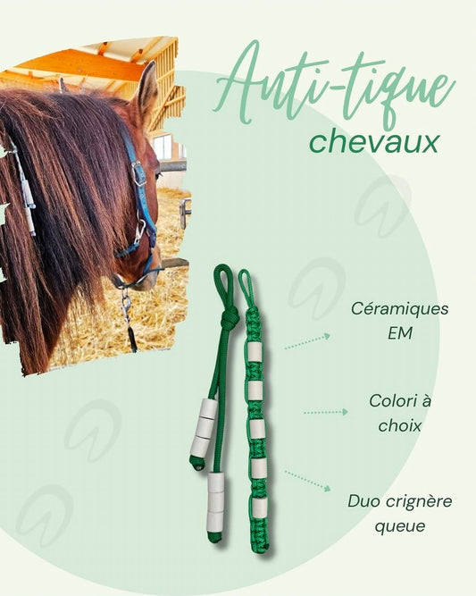Duo de mèches anti-tiques