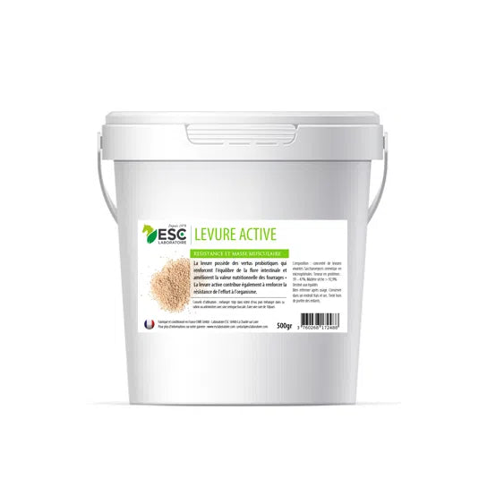 ESC Levure active + - 500gr