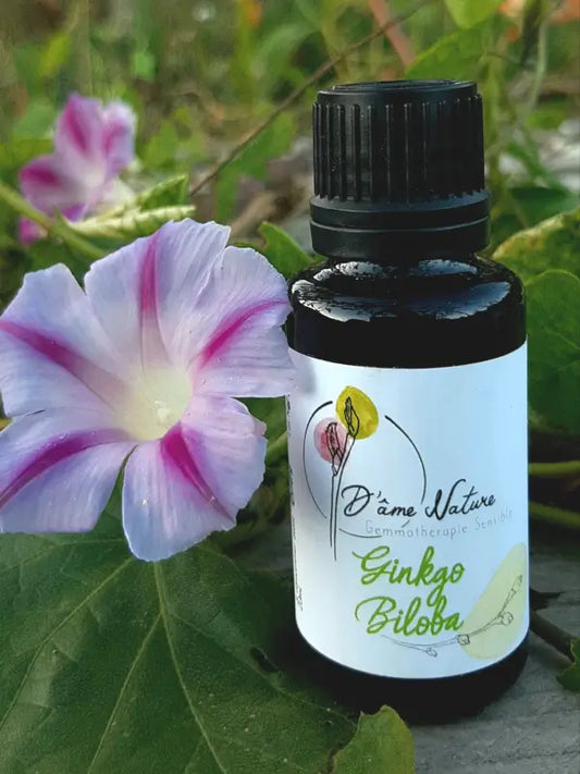 D'Âme Nature - Gingko biloba - 20ml