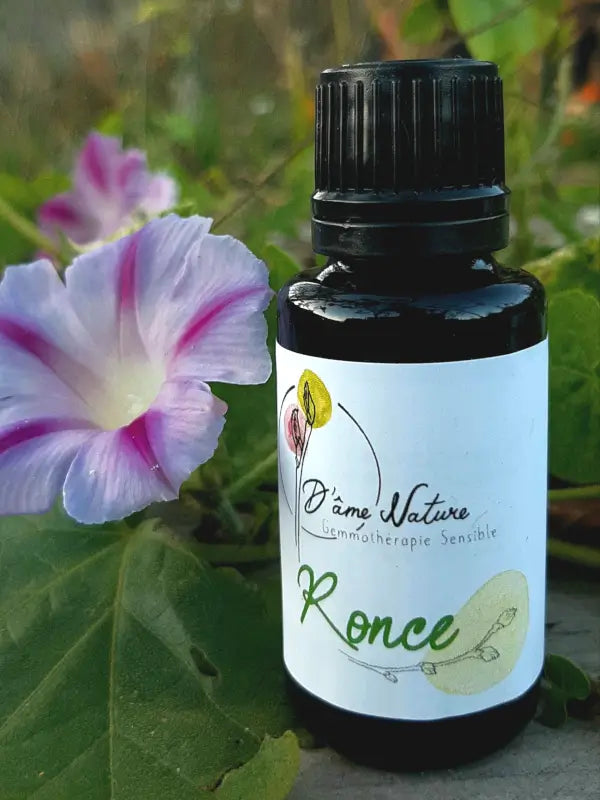 D'Âme Nature - Ronce - 20ml