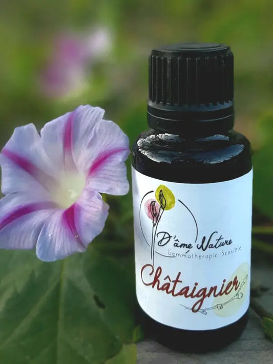 D'Âme Nature - Châtaignier - 20ml