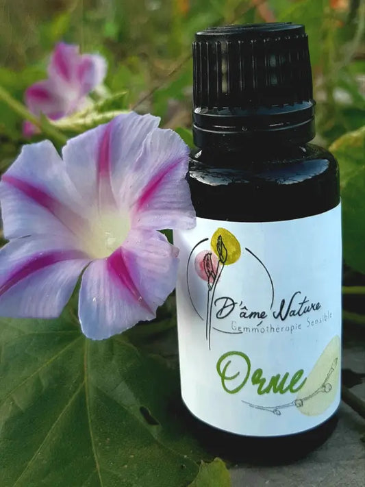 D'Âme Nature - Orme - 20ml
