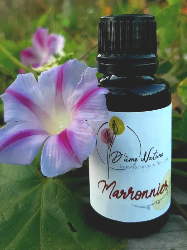 D'Âme Nature - Marronnier - 20ml